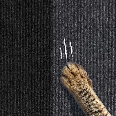Milchweiße, zuschneidbare, selbstklebende Kratzmatte für Katzen als Trittschutz